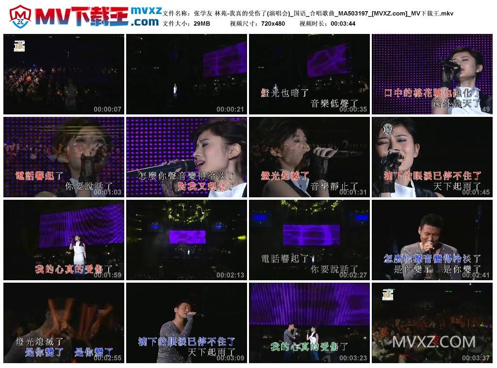 张学友 林苑-我真的受伤了(演唱会)_国语_合唱歌曲_MA503197
